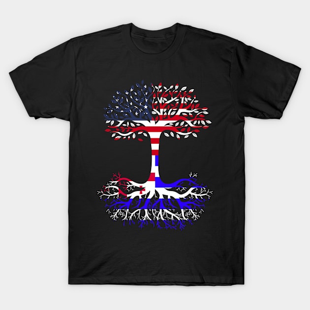 American Grown Ajaria Roots Ajaria Flag T-Shirt by BramCrye